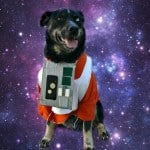 Geeky Educational Link Up: Star Wars Dog Costume